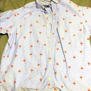 Short sleeve button down